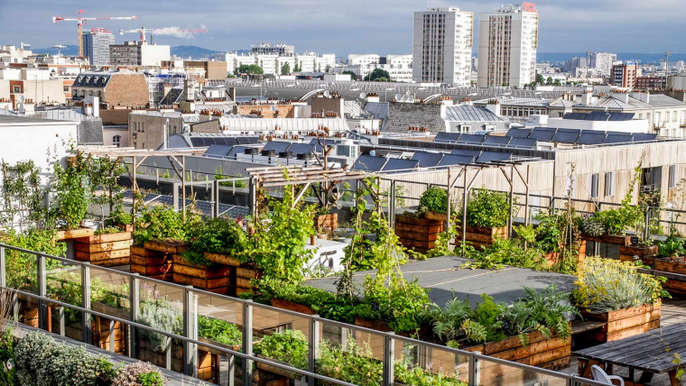 L’agriculture est l’avenir de la ville (1/2)