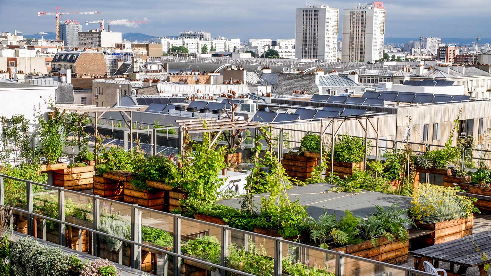Découvrez des projets innovants d'agriculture urbaine avec Topager et Merci Raymond qui mettent en œuvre potagers urbains, jardinage et préservation de la biodiversité.