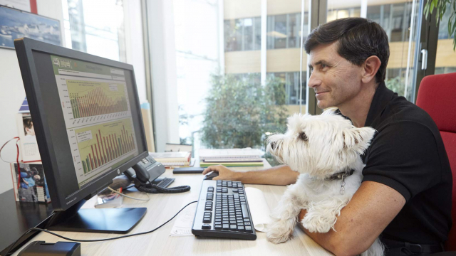 Pets at work : découvrez les bienfaits des animaux au bureau. Les chats ou les chiens au bureau augmentent le bien-être et renforcent le dialogue et la cohésion des équipes.