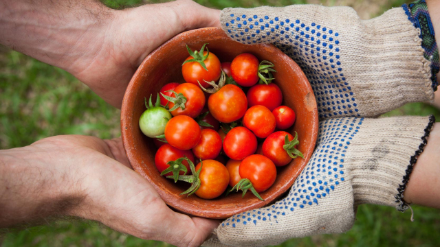 Les conciergeries séduisent les entreprises et permettent de travailler l'esprit tranquille. Pressing, prise de rendez-vous, services postaux… Elles réduisent le stress et améliorent la qualité de vie au bureau.