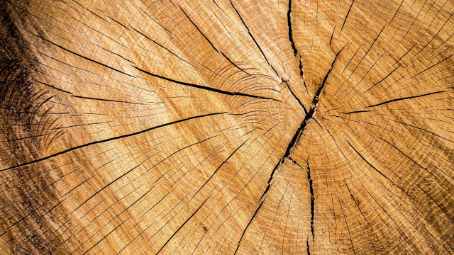 Pour mieux comprendre les enjeux de la construction en bois découvrez l'interview du Directeur général d’Ossabois, Michel Veillon.