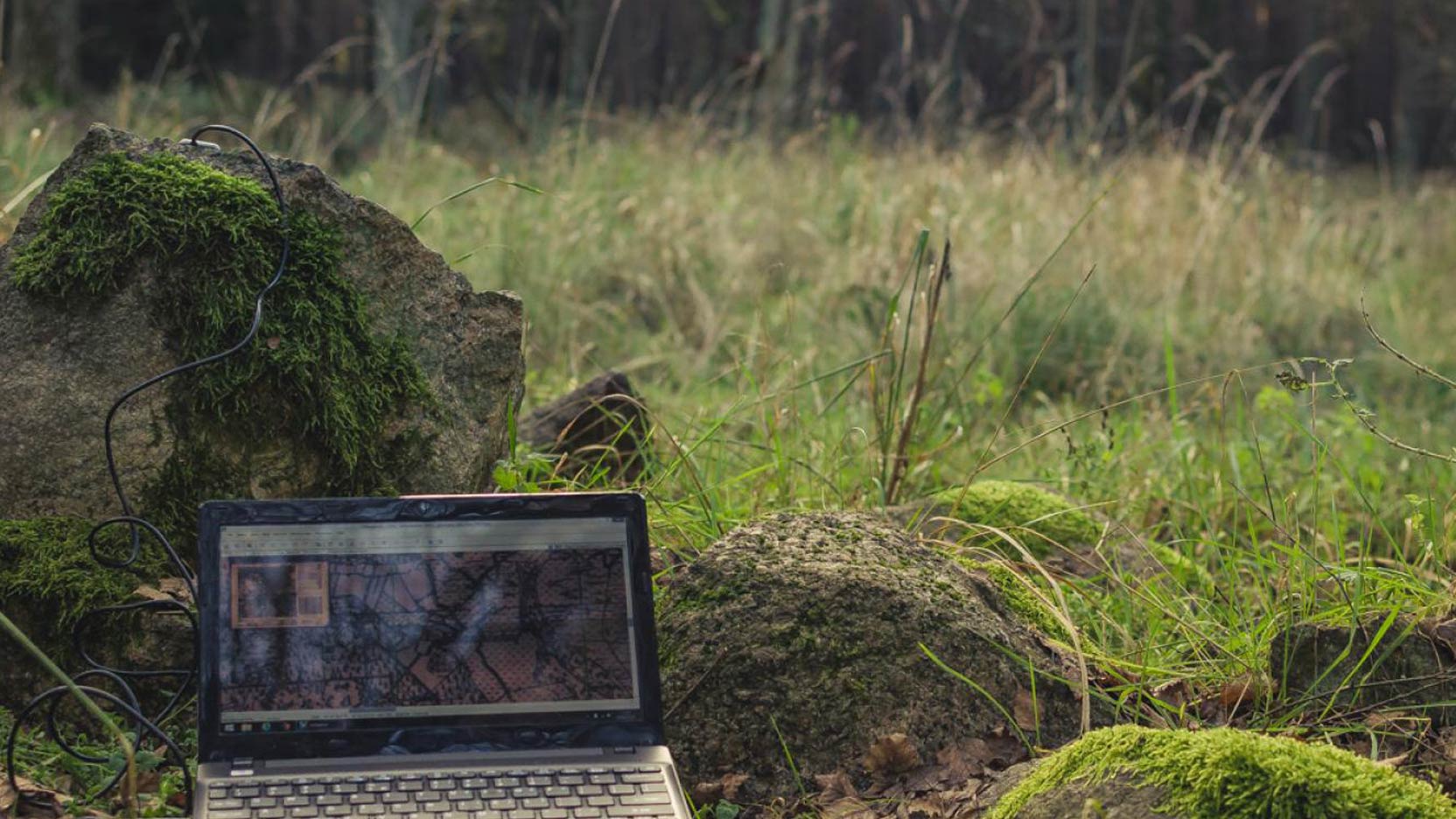 Et si on travaillait mieux dans la nature ?