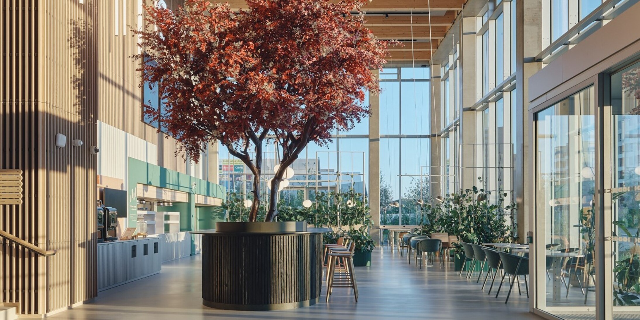 L'Arbre Rose, service de restauration de Niwa, nouveau siège social de GA Smart Building à Toulouse